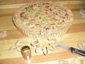 Decorative Top Round Rhubarb Tart